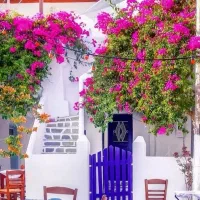 اجاره-دو-طبقه-دربست-در-دولتخواه-جنوبی