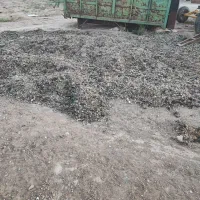 کود مرغی درجه یک