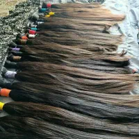 خریدار اصلی موهای طبیعی بانوان|خدمات آرایشگری و زیبایی|تایباد, |دیوار