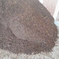 کشمش با کیفیت ممتاز|خوردنی و آشامیدنی|لاهیجان, کوی آزادگان|دیوار