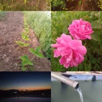 زمین باغ بهترین جا