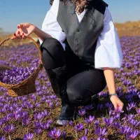 بازاریاب ( ویزیتور)