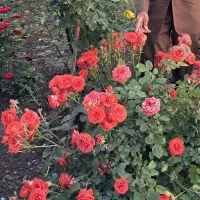 ضامن یا خریدار وام