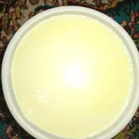 ماست پرچرب وشیر پرچرب