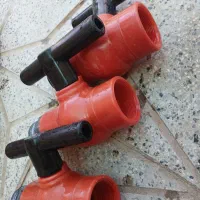 شیر تعداد بالا