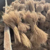 جارو سیخی (شهرداری)