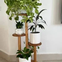 استند گل