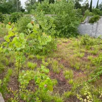 ۶۰۰ متر زمین مسکونی دو بر سند تک برگ