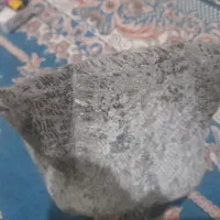 عتیقه و سنگ جواهرات