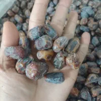 خرمای مضافتی و کلوته عمده فروشی|خوردنی و آشامیدنی|مشهد, کارمندان دوم|دیوار