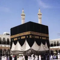 فروش فقط فیش عمره