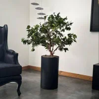 اجرا و تولید دیوار سبز خزه ای و درختچه های جاودان