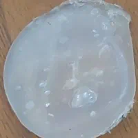 پاکن ساده