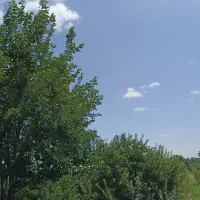 نقد ...|فروش زمین و ملک کلنگی|ارومیه, |دیوار