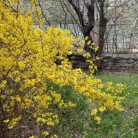 مجتمع اقامتی پذیرایی