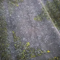 فرش نو بدون استفاده