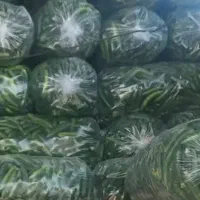 زمین کشاورزی برا اجاره|اجارهٔ دفتر صنعتی، کشاورزی، تجاری|شوش, |دیوار