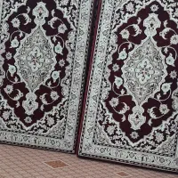 سه جفت پشتی