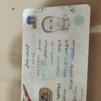 مدارک گمشده به نام مهدی محمودی