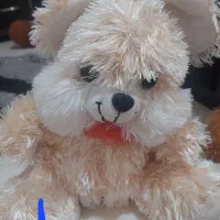 عروسک خرس|اسباببازی|محمدشهر, محمدشهر|دیوار