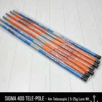 چوب ماهیگیری کاسی / کپوری دسته بلند|ماهیگیری|تهران, بهار|دیوار