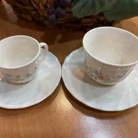 ظروف آرکوپال