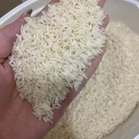 برنج ممان کیلویی ۳۱۰