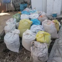 کبوتر|سگ|اسفراین, |دیوار