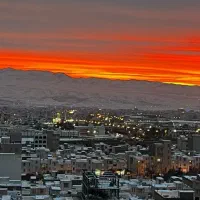 خریدار شرکت رتبه ۵