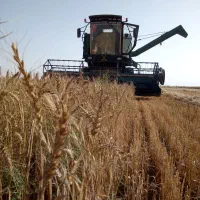 کمباین جاندیر مدل ۷۱|خودرو سنگین|سیمین شهر, |دیوار