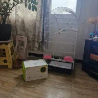 قفس یک متری و لانه و لوازم|لوازم جانبی حیوانات|چاف و چمخاله, |دیوار