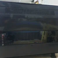 بخاری  ادنیس