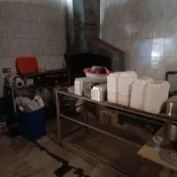 نیازمند آشپز حرفه ای خانوم