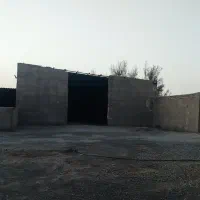 فروش دامداری صنعتی ۱۰۰ راسی|فروش دفتر صنعتی، کشاورزی، تجاری|نیمروز, |دیوار