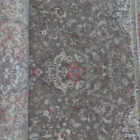 پادری فرش هم دارم|فرش|بندرعباس, |دیوار