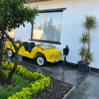 ژیان مهاری فایبر