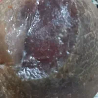 سنگ یاقوت|کلکسیون اشیاء عتیقه|ساری, |دیوار