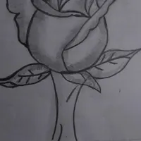 طراحی چهره و...|تابلو، نقاشی، عکس|ماکو, |دیوار