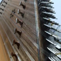 سنتور چوب گردو