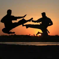 آموزش دفاع شخصی(مبارزات خیابانی)