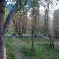 باغ کوهپایه|فروش زمین و ملک کلنگی|کوهپایه, |دیوار