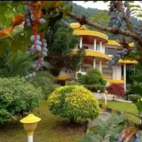 پارک-ویلاجنگلی200م-باسند-منطقه-دنج