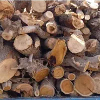 قطع درختان باغی و خرید چوب با بالاترین قیمت