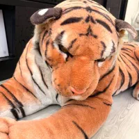 ماکت اندازه اصلی ببر