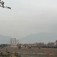 نیروی ساده ی بار همراه با اموزش|استخدام خدمات فروشگاه و رستوران|تهران, ورزشگاه آزادی|دیوار