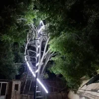 اجاره ساعتی کلبه درختی