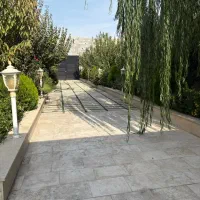 ۵۵۰متر باغ /بکه/سند تکبرگ عرصه و عیان