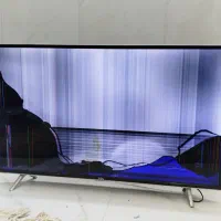 تلویزیون ۴۳اینچ تی سی ال|تلویزیون و پروژکتور|بجنورد, |دیوار