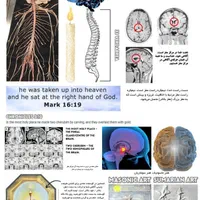 کتاب حکمت . راهنمای سلامت انسان|کتاب و مجله آموزشی|مشهد, رسالت|دیوار
