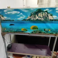 اکواریوم